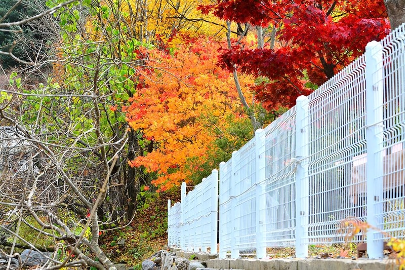 올래캠핑장 시설 사진 2