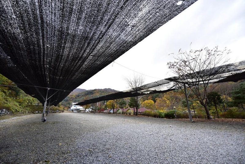 지지벨리 유명산 오토캠핑장 시설 사진 2