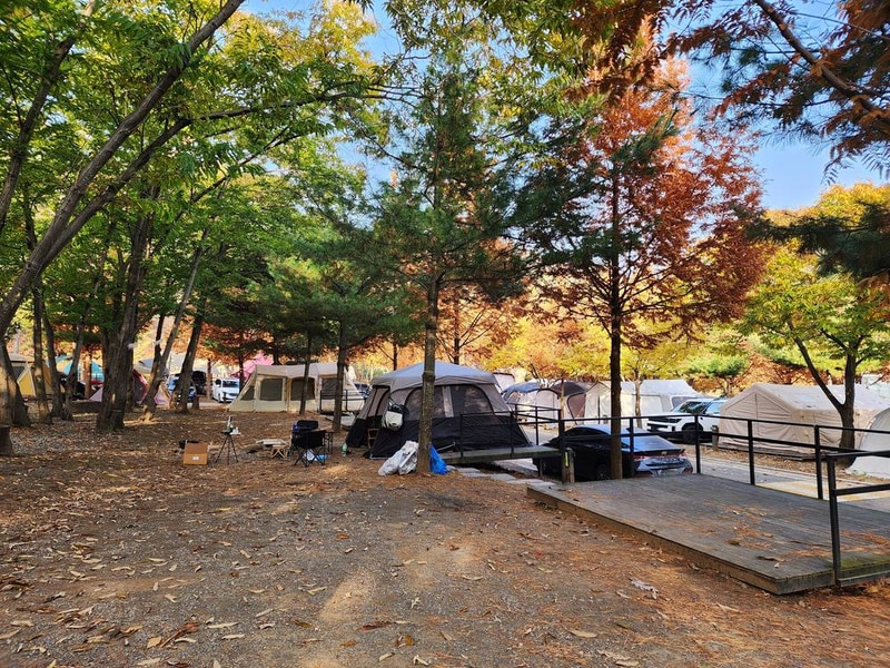 김포캠핑파크 주식회사 시설 사진 17