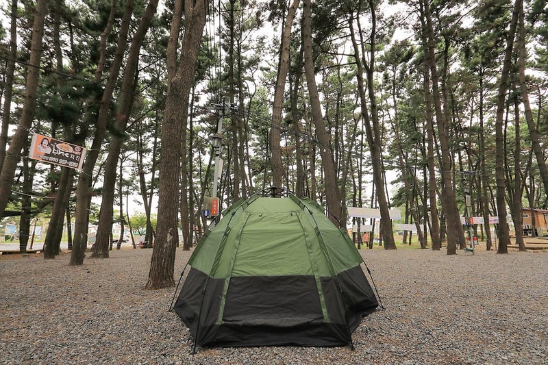춘장대나드리캠핑장 시설 사진 13