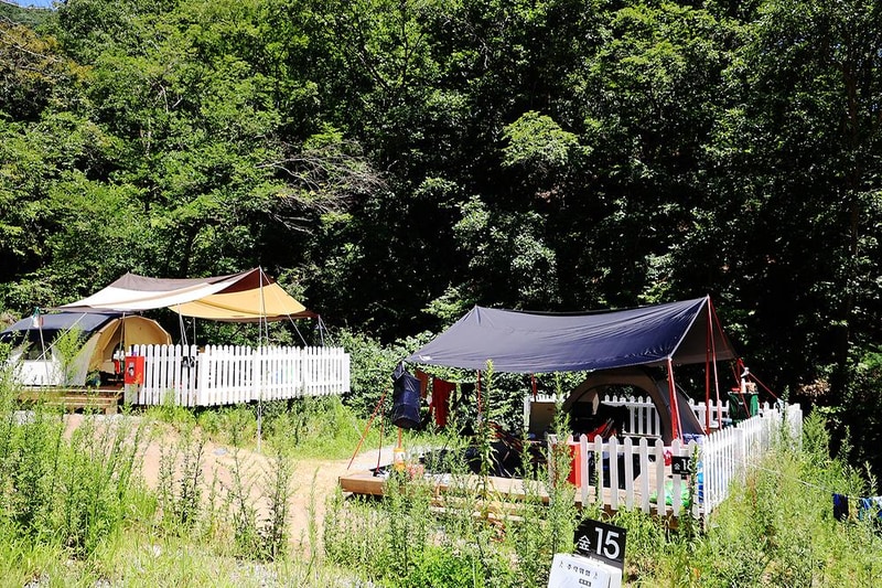 숲이야기 시설 사진 14