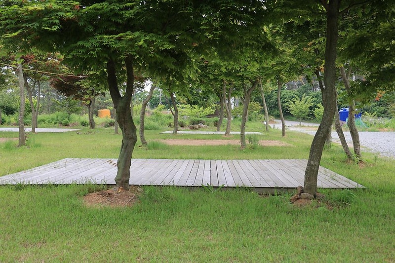 솔향기길야영장 시설 사진 5