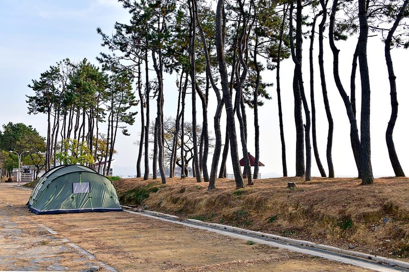 웅천친수공원 야영장 시설 사진 3