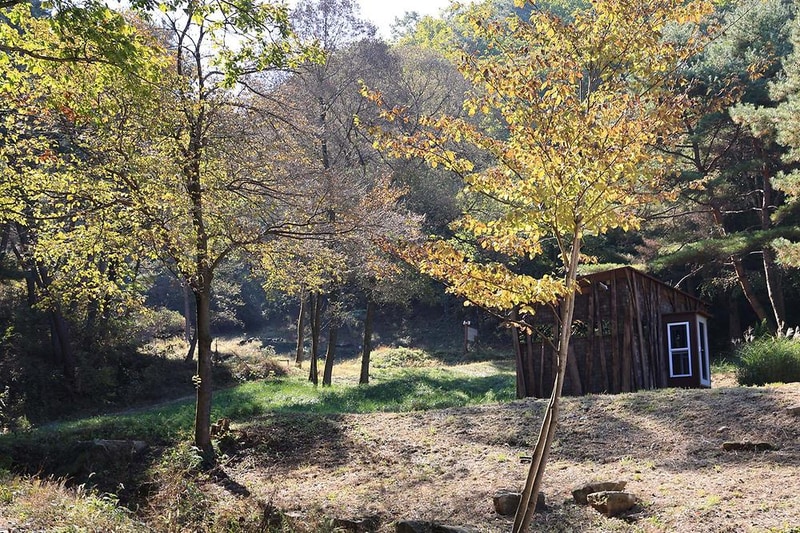 숲속행성 시설 사진 13