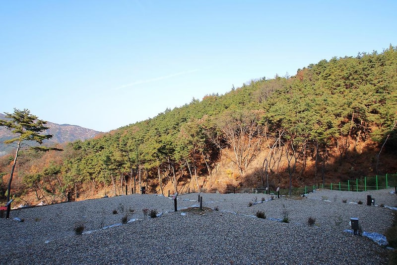 송하루 오토캠핑장 시설 사진 10