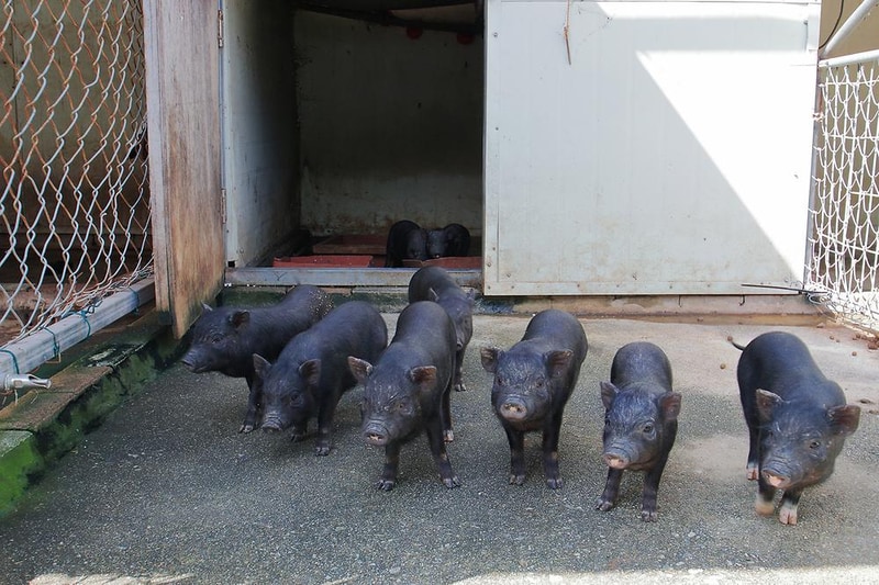 이안숲속오토캠핑장 시설 사진 18