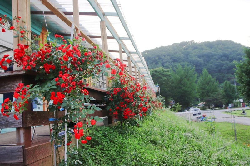 오손도손캠핑장 시설 사진 8