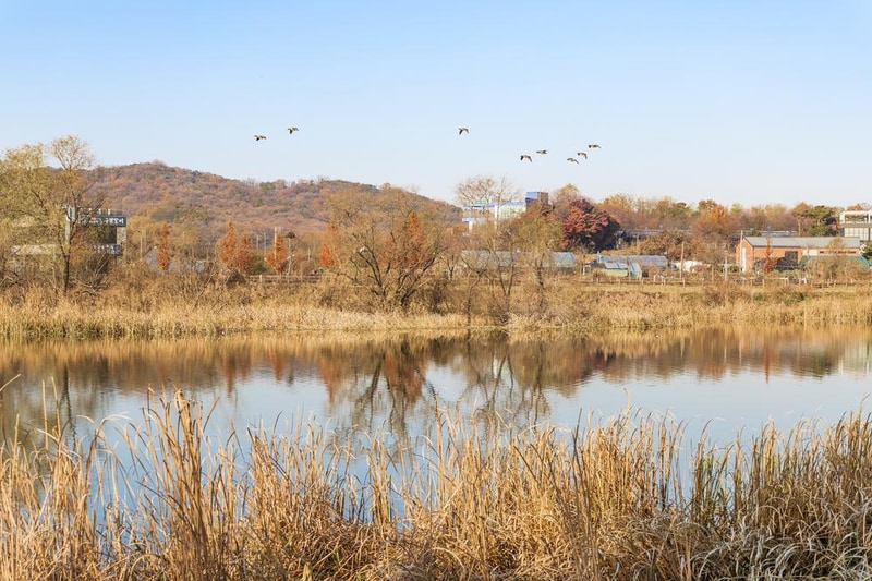 왕송호수 캠핑장 시설 사진 49