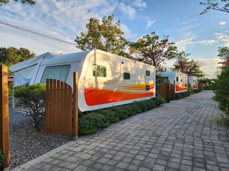 다온숲 노을 캠핑정원 대표 사진