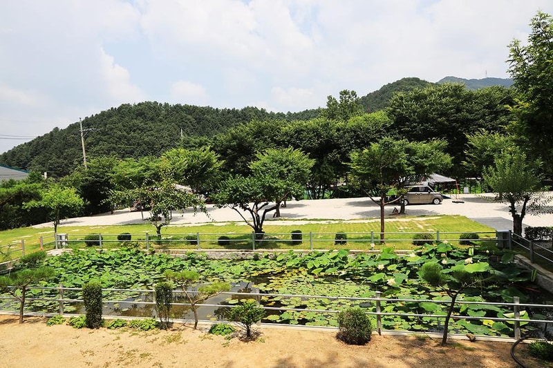 토일관광농원 시설 사진 16