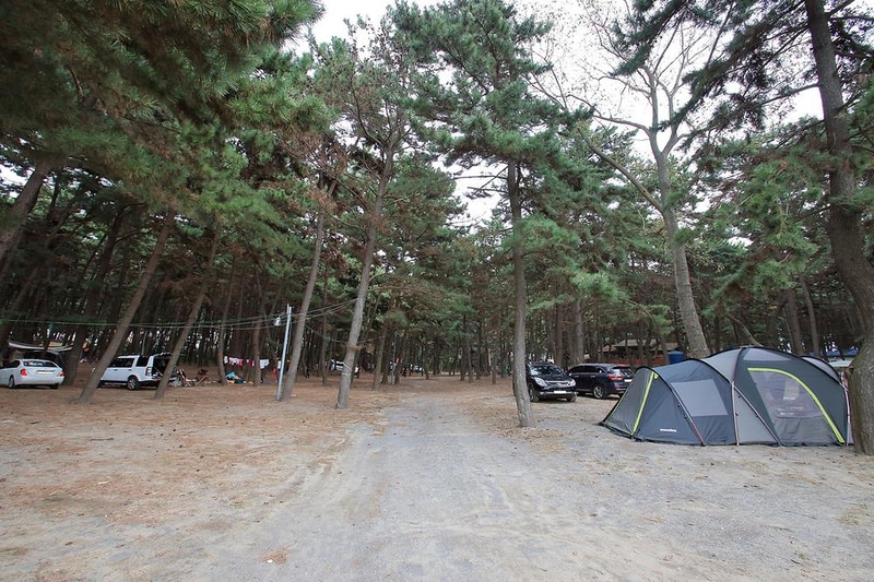 솔내음 야영장 시설 사진 6