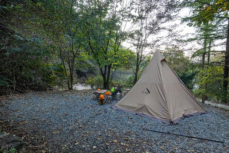 돈내미농장 대표 사진