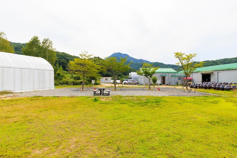 해밀터 시설 사진 14