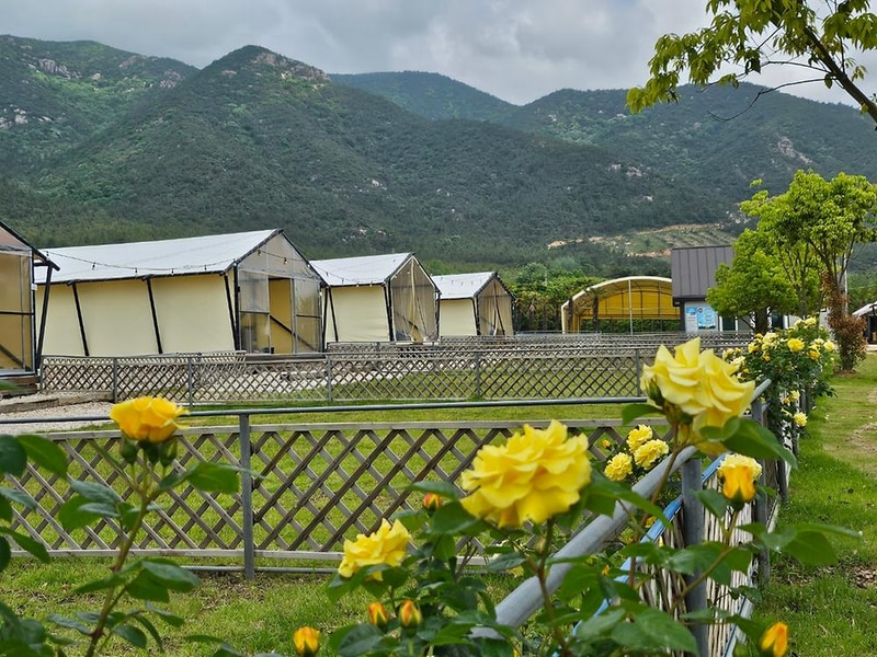 땡땡이글램핑 시설 사진 9