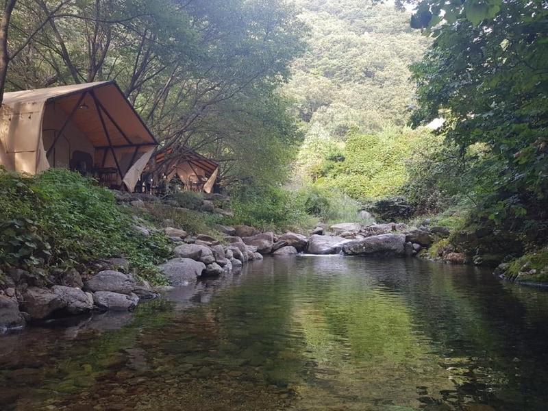 팜스테이 글램핑 앤 펜션 시설 사진 11