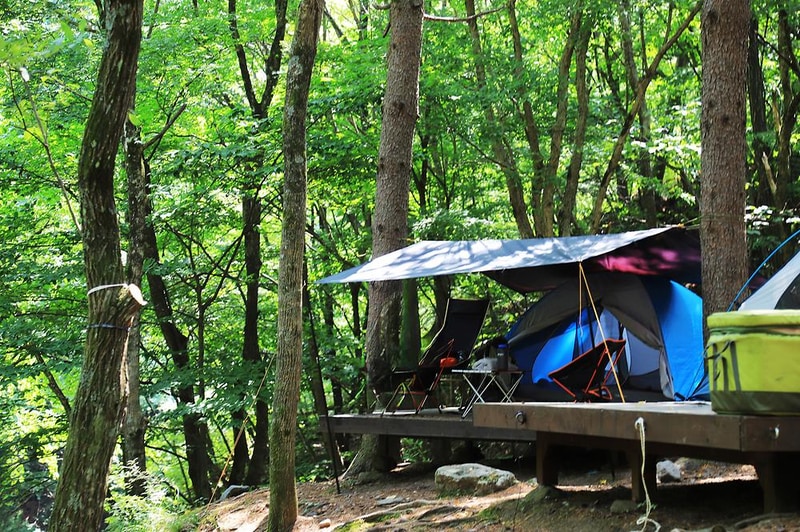 국립용대자연휴양림 시설 사진 10