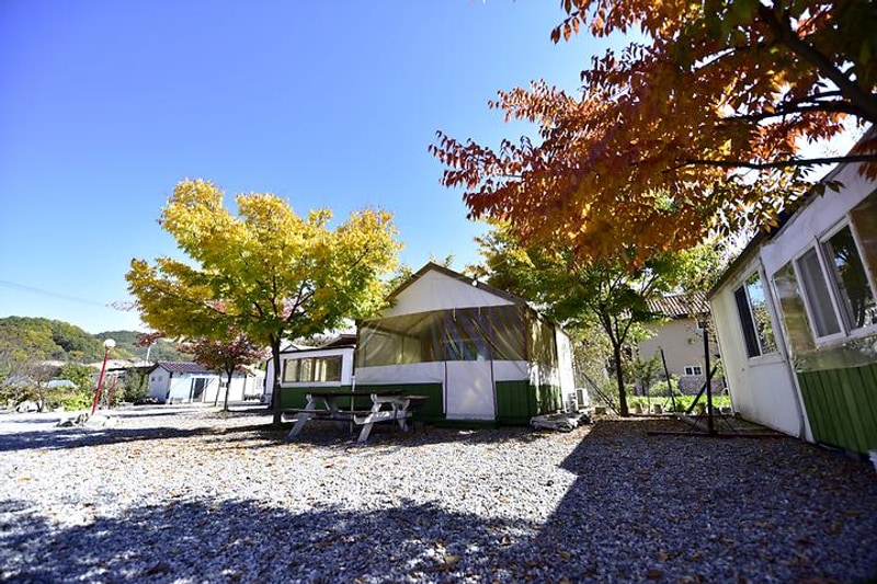 가평아일렛 위크팜 글램핑 대표 사진