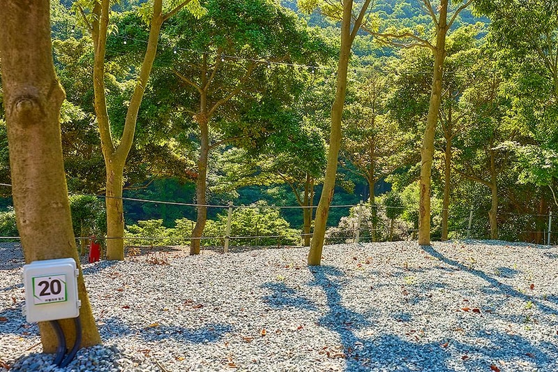 진도 카멜리아 힐즈 오토캠핑장 시설 사진 4
