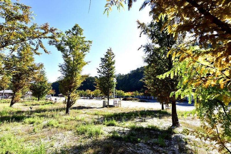 플로렌스 글램핑 & 캠핑 시설 사진 3