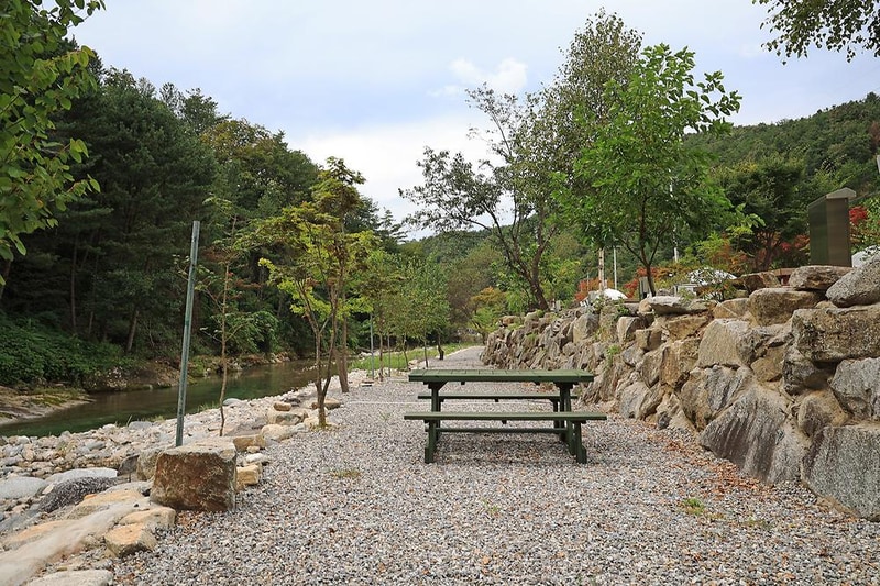 메기의 추억 시설 사진 13