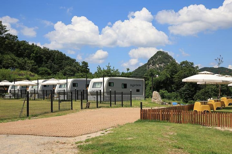 캐닌힐스(CANINHILLS) 대표 사진