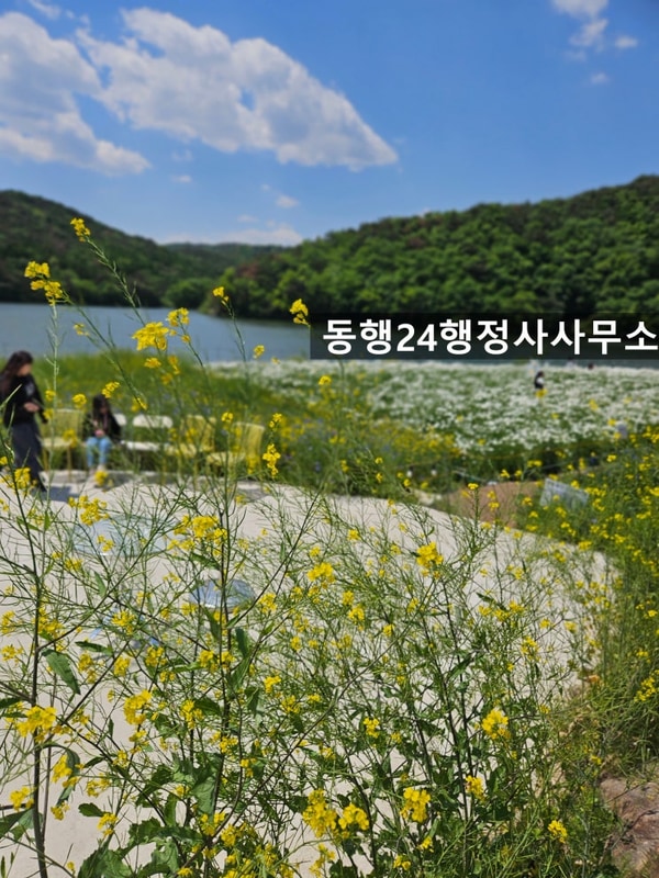 5월 초 경주 바실라카페 그리고 조은캠핑장