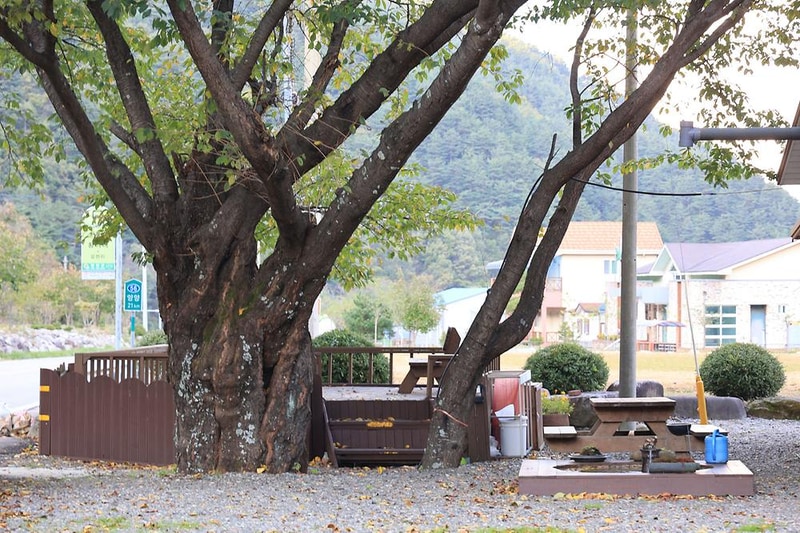 조봉야영장 시설 사진 19