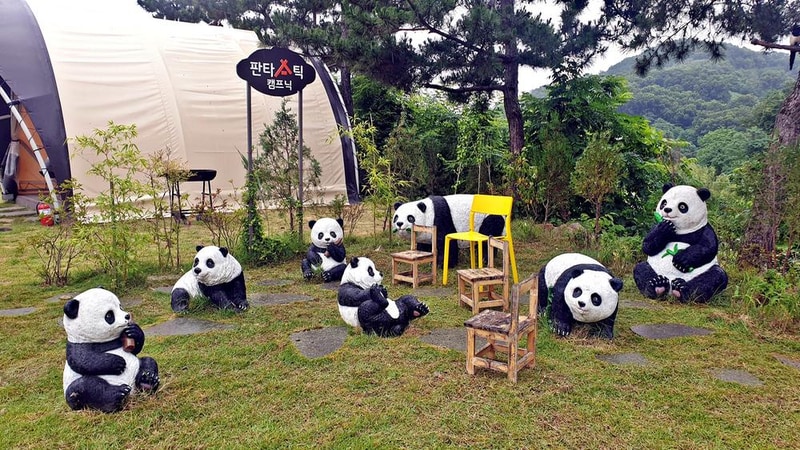 판타스틱 캠프닉 시설 사진 24