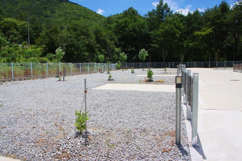 하슬라 캠핑장 시설 사진 15