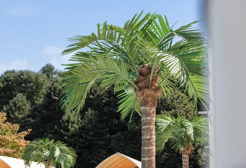 루체른 시설 사진 27