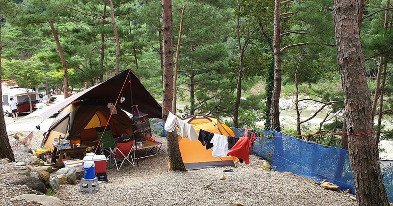 왕피천하늘담야영장 시설 사진 29