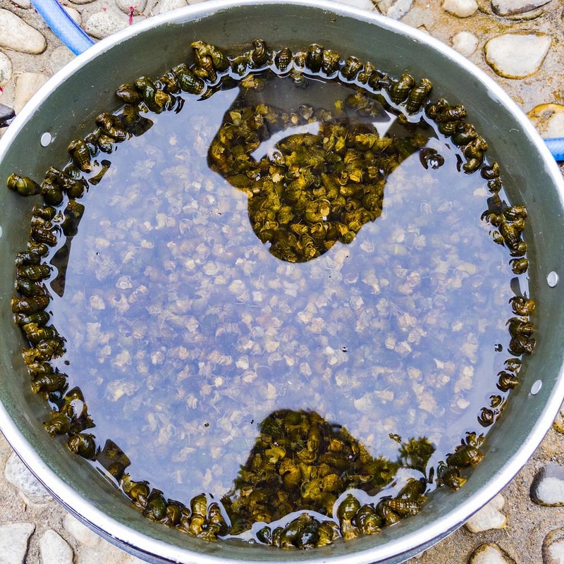 구름계곡캠핑장 시설 사진 27