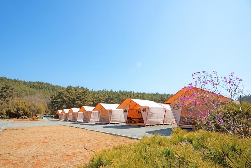 가로림글램핑 & 풀빌라펜션 시설 사진 18