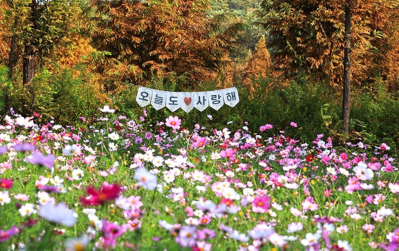 안성맞춤 캠핑장 시설 사진 54