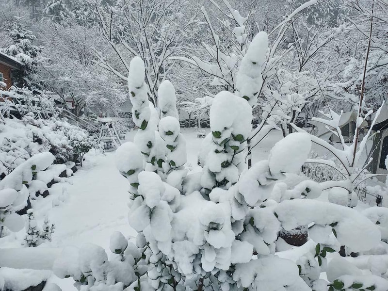 횡성산울림오토캠핑장 시설 사진 26