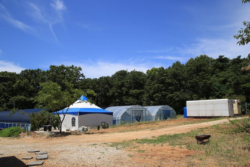 교동아일랜드 시설 사진 21