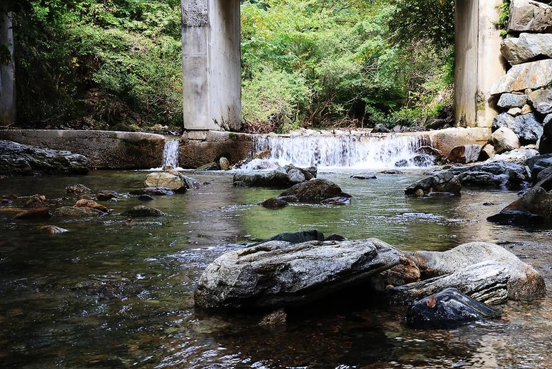 그린필로우 시설 사진 11