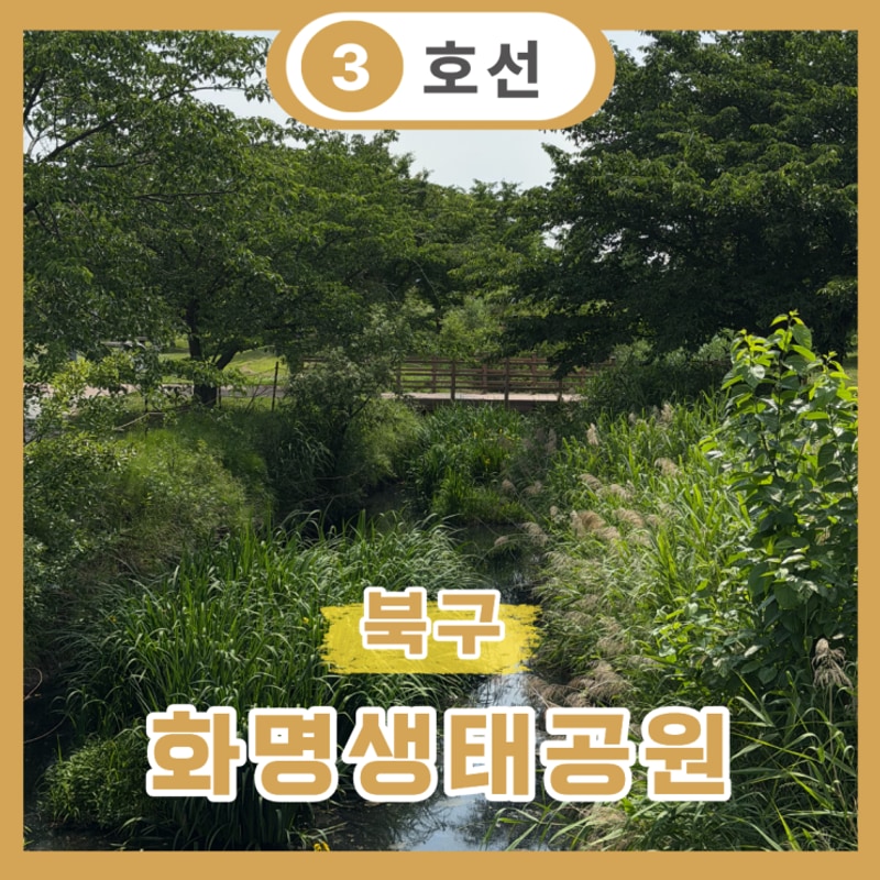 화명생태공원 축구장 주차장 자전거 대여 캠핑장 총정리