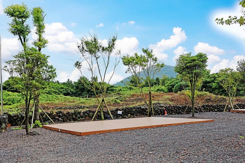 아이올레 인 포레스트 캠핑 시설 사진 27