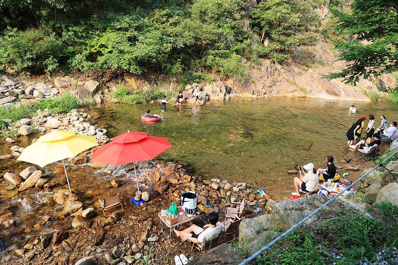 태양힐링숲 시설 사진 12