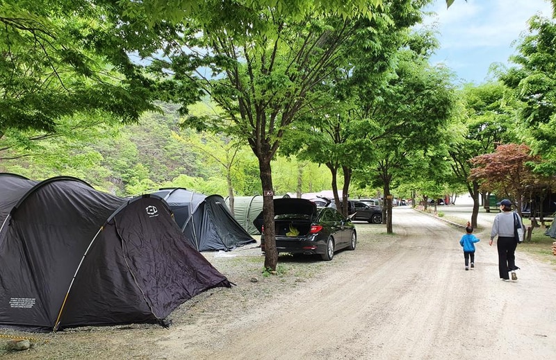 미산가족오토캠핑장 시설 사진 46
