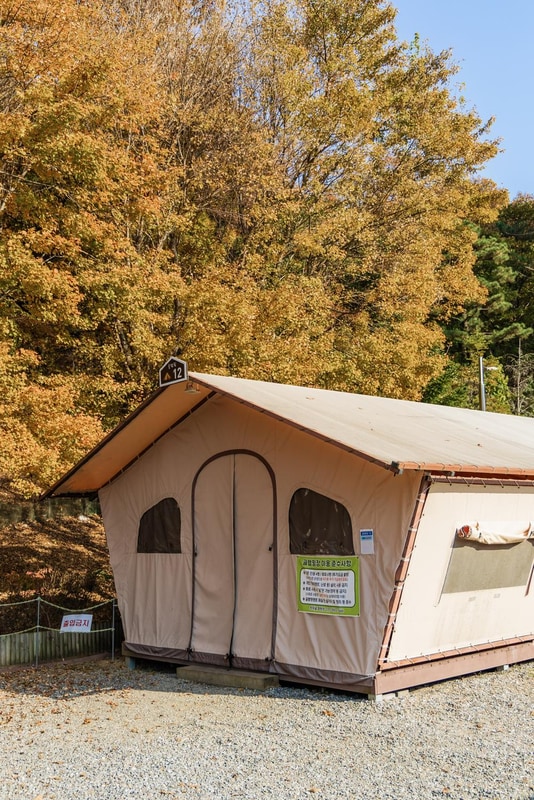 초막골생태공원 느티나무야영장 시설 사진 53