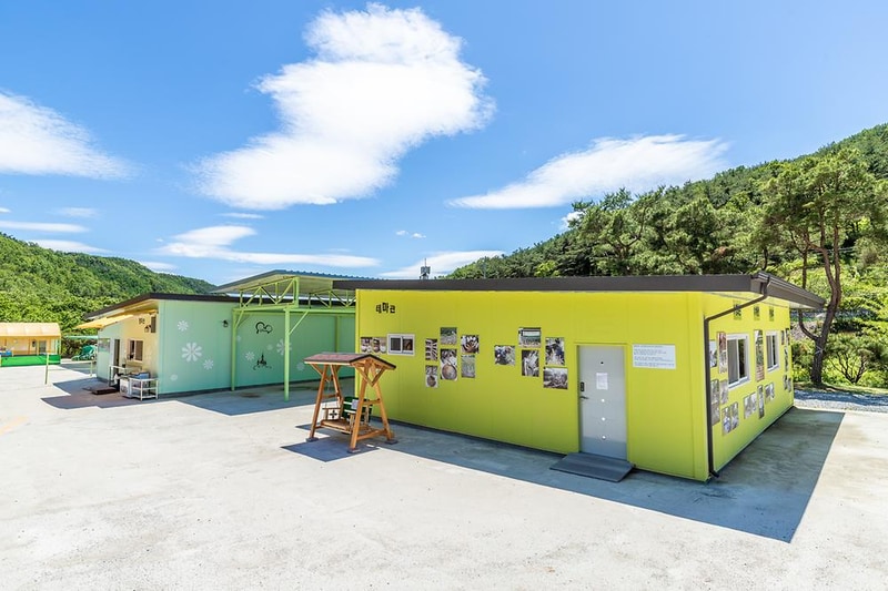 행화촌자연테마파크 시설 사진 5