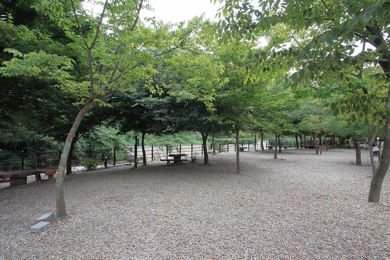 녹색오토캠핑장 시설 사진 3