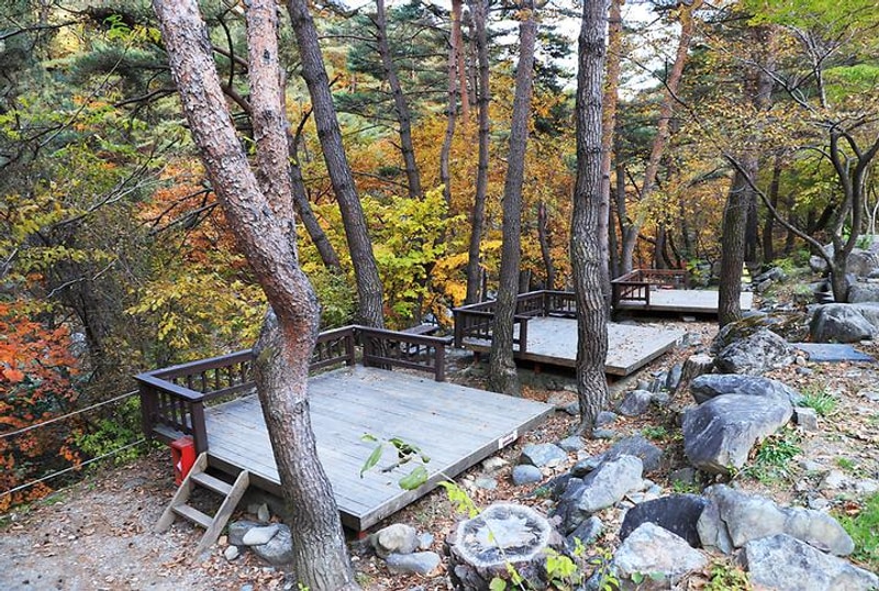 국립가리왕산자연휴양림 대표 사진