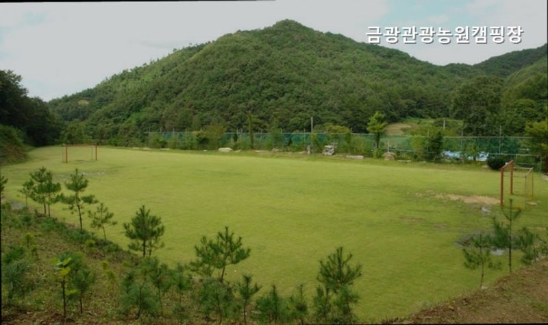 금광관광농원 캠핑장 대표 사진