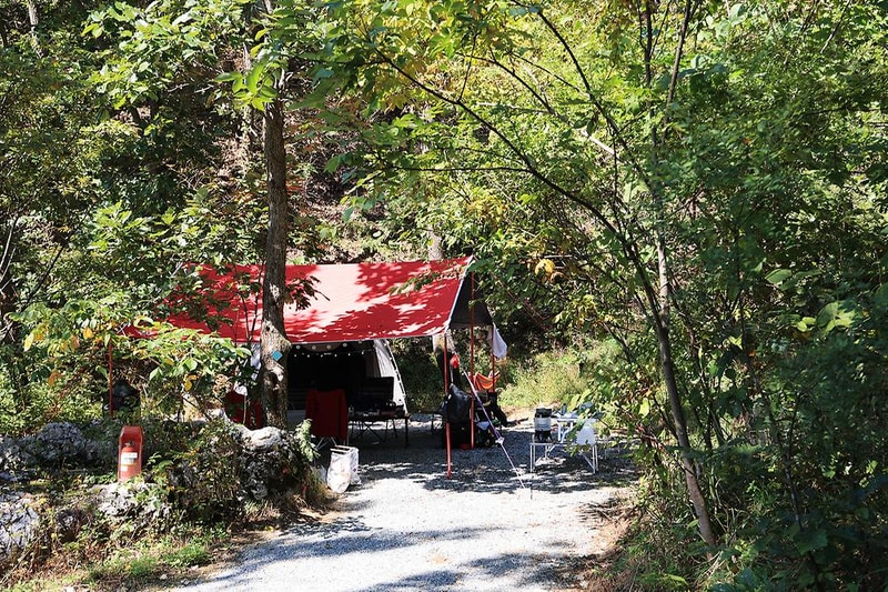 춘천 더숲 캠핑장 시설 사진 23