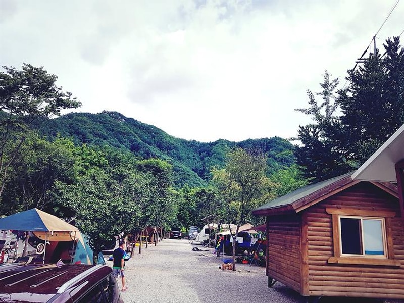 가평사계절캠핑장 대표 사진