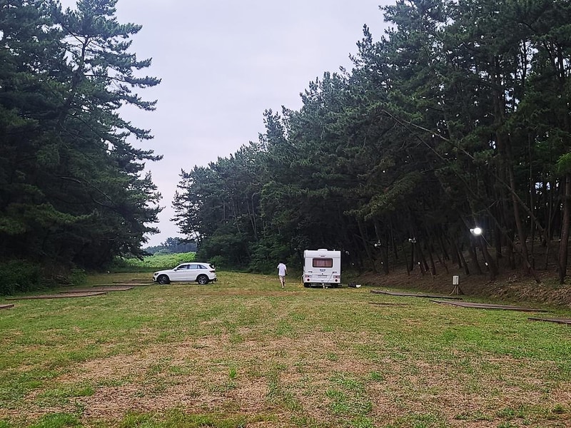 태안노을숲캠핑장 시설 사진 7