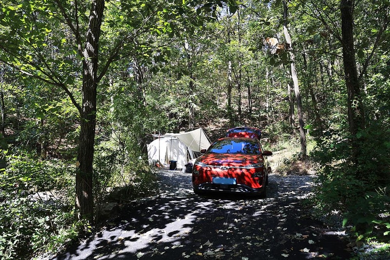 춘천 더숲 캠핑장 시설 사진 4